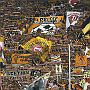 13.8.2015  SG Dynamo Dresden - FC Rot-Weiss Erfurt  3-1_23